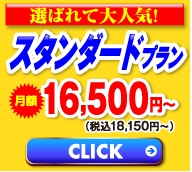 スタンダードプラン